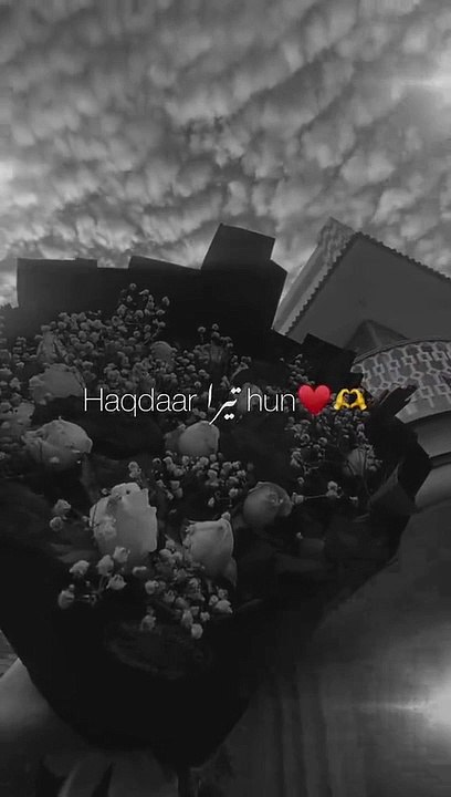 Haq dar Tyra hu love status video