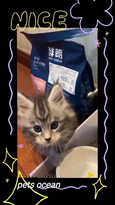 Feed me plz