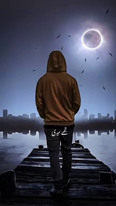 Myri Zindagi sy Jany ka Kya lo gy tum status video