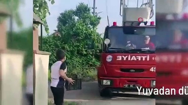 Yuvadan düşen kuşu fark etti, itfaiye ekiplerine haber verdi