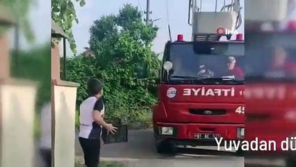 Yuvadan düşen kuşu fark etti, itfaiye ekiplerine haber verdi