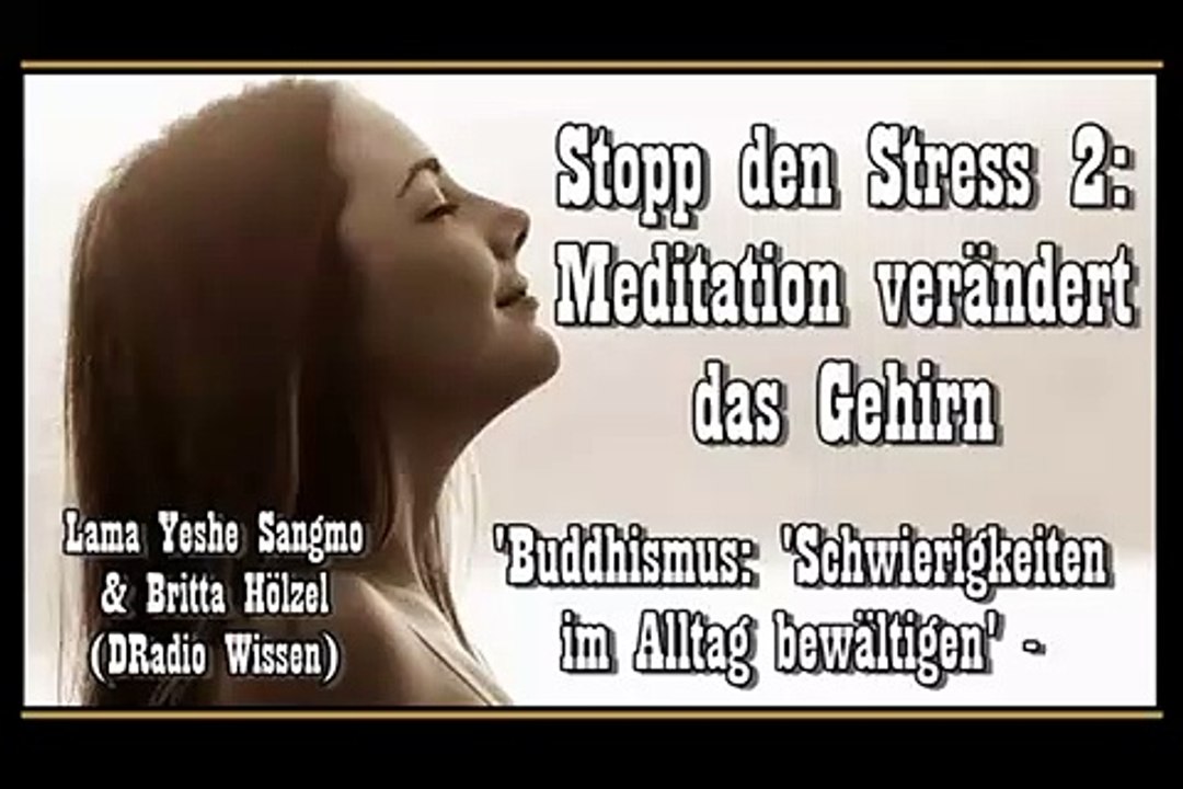 Stopp den Stress! 2: Meditation verändert das Gehirn - Lama Yeshe Sangmo, Britta Hölzel_WMV V9