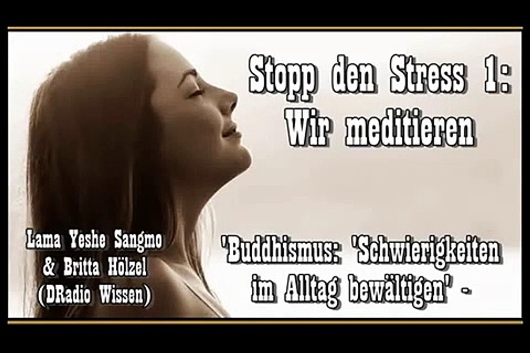Stopp den Stress! 1: Wir meditieren - Lama Yeshe Sangmo, Britta Hölzel