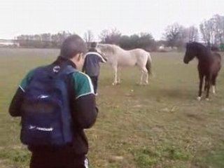 1ere séquance: L'équitation