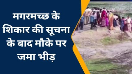 चितौड़गढ़: मवेशी चरा रही महिला को मगरमच्छ ने बनाया शिकार, बेड़च नदी के किनारे हुई घटना