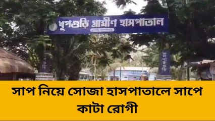 জলপাইগুড়ি:আজব কান্ড! কামড়ানোর পরেই সোজা সাপ নিয়ে হাসপাতালে রোগী