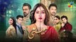 Recap - Meesni Episode 97 - ( Bilal Qureshi, Mamia ) 28 May 2023 - FLO Digital