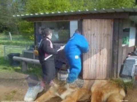 CAPTURE ANIMAUX PM BUZANCAIS