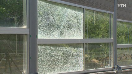 도로변 방음 유리벽 의문의 파손...수리에 세금 '술술' / YTN