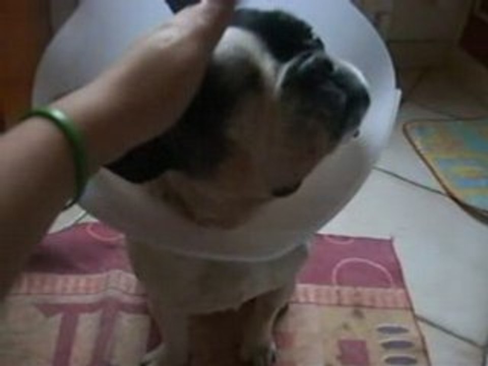 Zoé