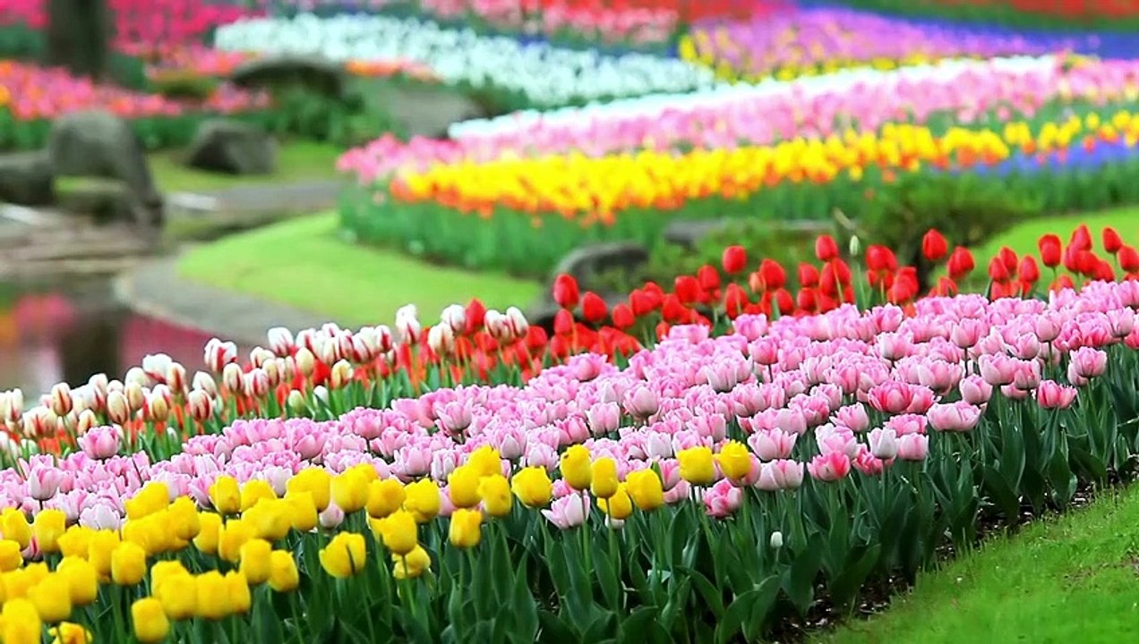 Daily Wisdom: The Abundant Garden of Prosperity| 3 John:2