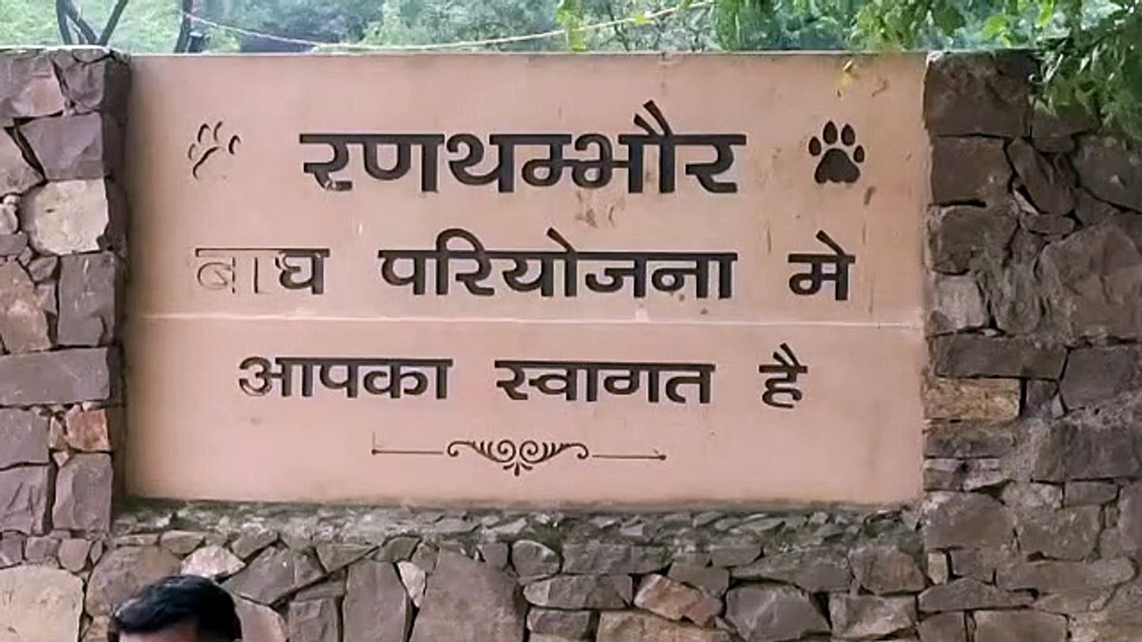 रणथम्भौर: जल्द ही विस्थापित किए जा सकते है तीन...