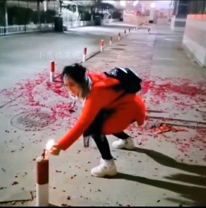 Funny videos