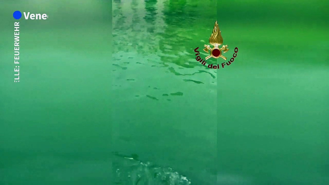 Wasser in Venedig grün verfärbt
