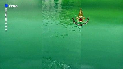 Wasser in Venedig grün verfärbt