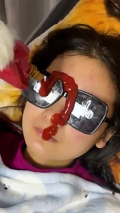 dog funny video