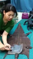 #shorts #shortsviral #viral #shortsvideo #tiktok