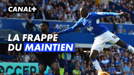 Le but extraordinaire de Doucouré pour maintenir Everton - Premier League 2022-2023 (38ème journée)
