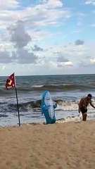 Beware of Sharks at the Beach