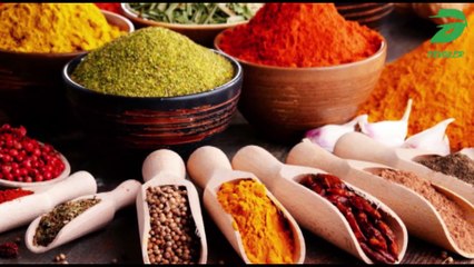 Zanzibar, L'une Des Plus Belles Iles d'Afrique