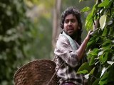 Virupaksa movie best scene in hindi // Sai Dharam Tej new movie