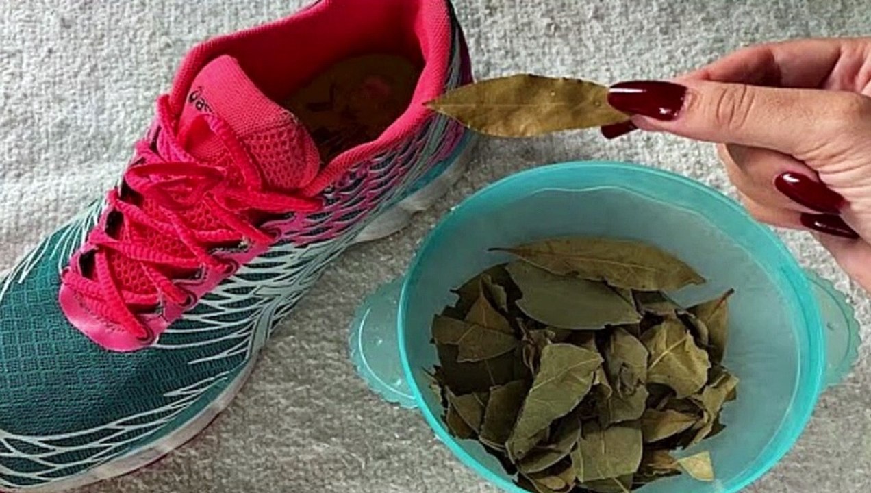 CUÁL ES EL SIGNIFICADO DE COLOCAR UN LAUREL EN TU ZAPATO Y POR QUÉ ES DE BUENA SUERTE