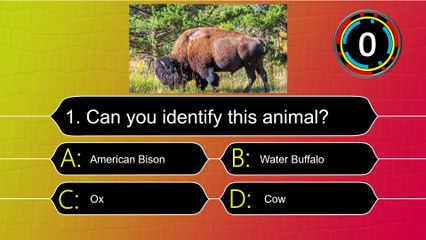 Can You Name These Animals From a Picture