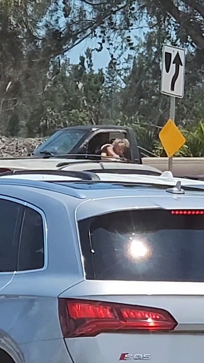 Road Rage at Florida Intersection