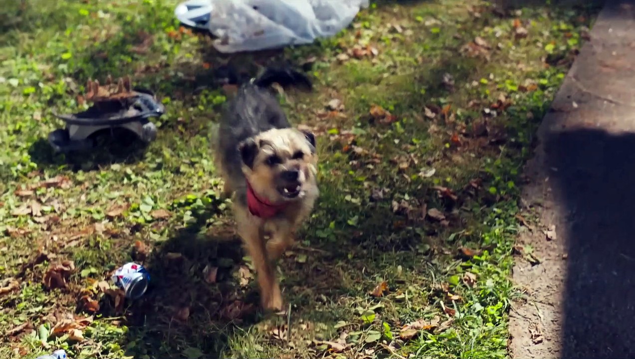 Doggy Style Film Trailer