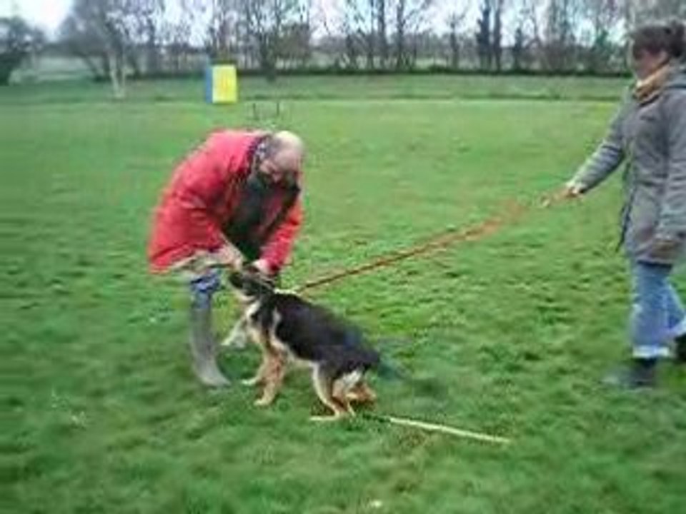Débourage au mordant de Cheyenne du Savage Garden