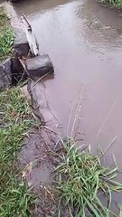 Canal de riego en F.M.E - Ruta n° 1