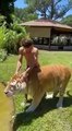 Best Funny Animal Videos of the year (2023) funniest animals ever. relax with cute animals video UTv