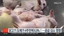 닭고기 도매가 4주만에 6.9%↑…공급 감소 영향