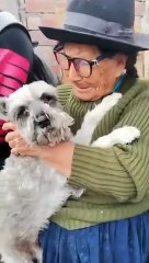 Aparece perrito Raylu de abuelita de 103 aos y vuelven a ser felices