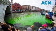 Venice canal turns a fluroscent green