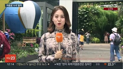 도심 속 식물원에는 수국 활짝…향긋한 여름 향기