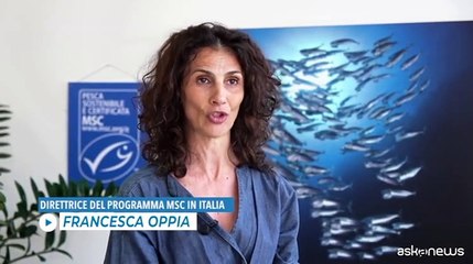 Video herunterladen: Giornata degli oceani: l'importanza della pesca sostenibile