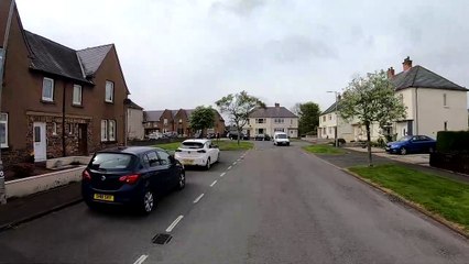 Cat Understands His Instructions