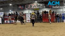 Bucking Bulls visit the Central West