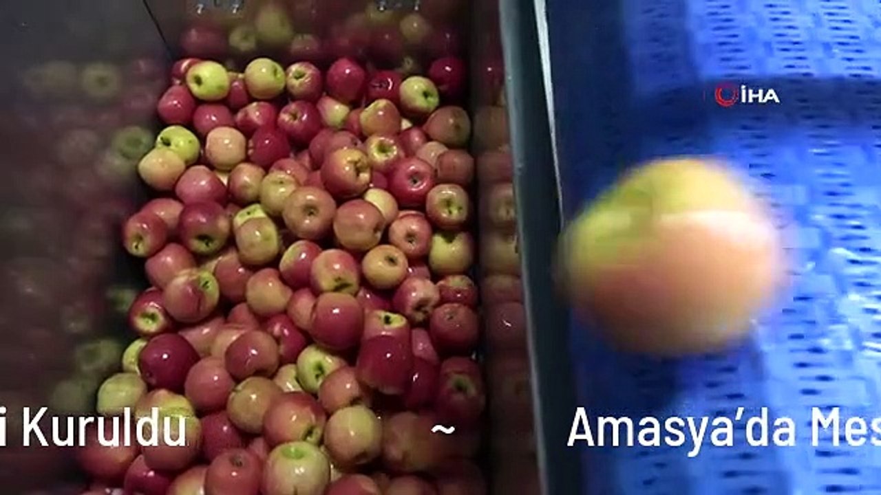 Amasya'da Meslek Lisesinde Meyve Kurutma Tesisi Kuruldu