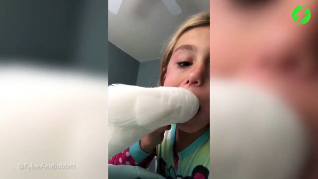 Ce perroquet est un très bon dentiste... arracheur de dents