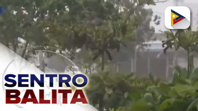 Climate Change Commission, isinusulong ang pagtatanim ng mga gulay, prutas bilang pagtugon sa climate change