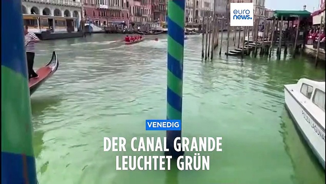 Rätsel in Venedig: Das Wasser des Canal Grande ist strahlend grün verfärbt