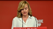 Alegría reconoce la derrota del PSOE en las elecciones