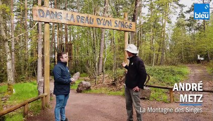 Petit déjeuner à la Montagne des Singes de Kintzheim 5/6
