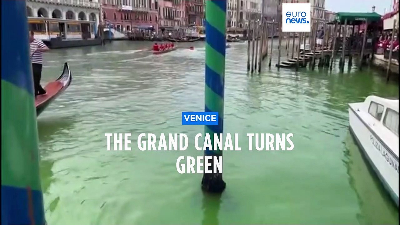The waters of the Grand Canal in Venice turn bright green