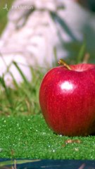 Slow Motion of an Apple