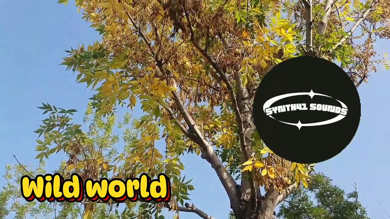 Wild world #ncs #ncsmusic #ncsrelease #relaxing #relax #relaxingmusic #music #instrumental