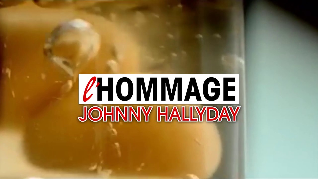 Teaser - Johnny Hallyday (Hommage #8)