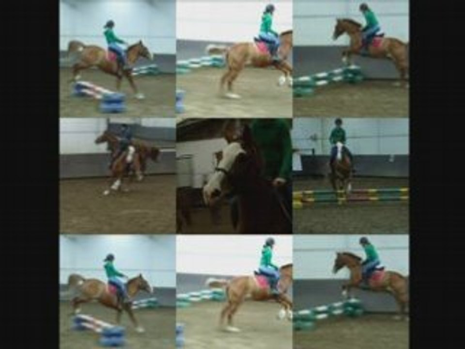 Gamin,un amour de cheval